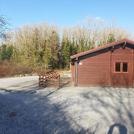 Red Squirrel Lodge Galway Exterior foto