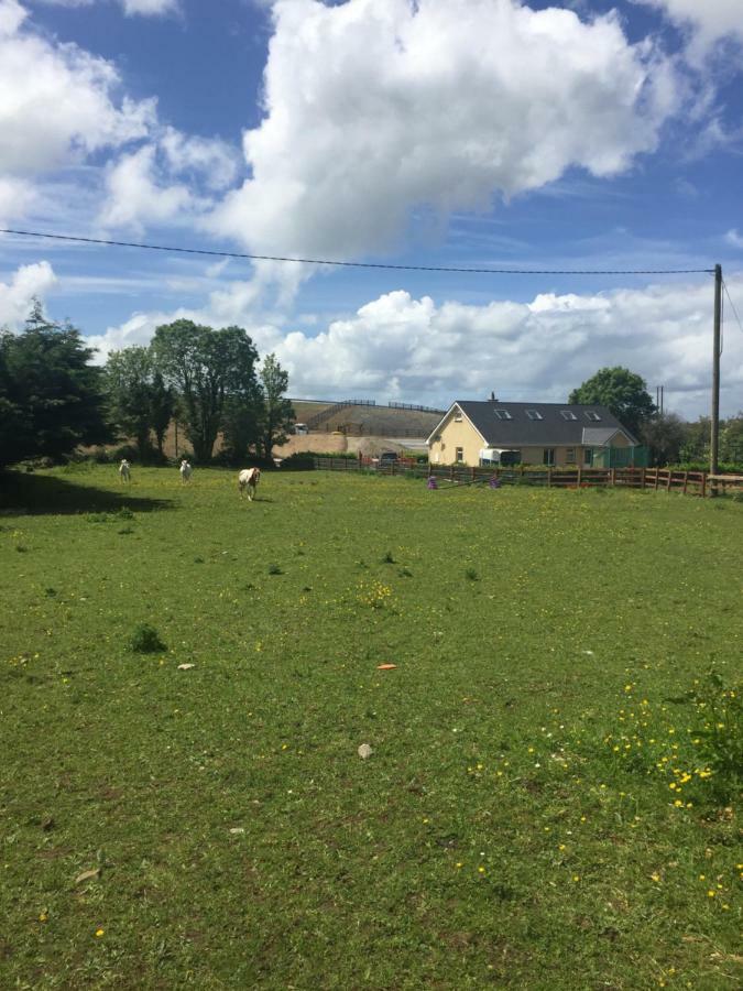 Red Squirrel Lodge Galway Exterior foto